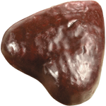 Gingerbread Cookies In Chocolate Glaze